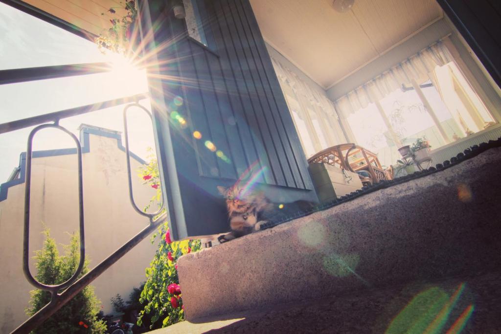 Apartment Hotel Kuukkarin Kortteeri Pori Bagian luar foto